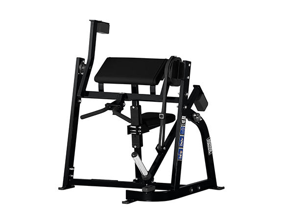 Sittende biceps